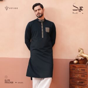 Luxury Panjabi-1071
