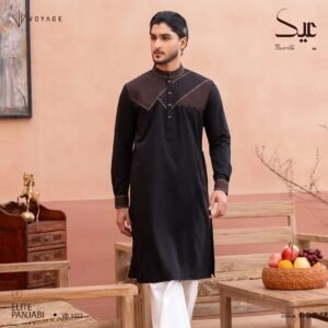 Luxury Panjabi-1022
