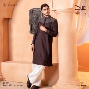 Luxury Panjabi-1067